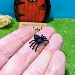 Mini Spinne für...