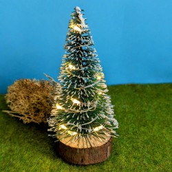 Beleuchteter Weihnachtsbaum...