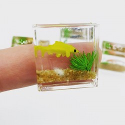 Mini Aquarium für Wichtel