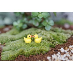 2 Stück Mini Enten für Wichtel